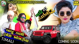 બાબુ ડાભી રમેશ ખોખરીયા  ગાડીના ડાઇવોર  new timali coming soon  adivasi new timali  sanjay [upl. by Nnayt]