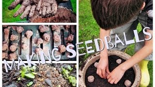 Making Seedballs [upl. by Idarb]