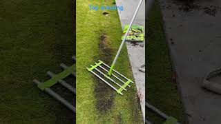 Lawn top dressing emilygarden australialife topdressing grass lawnmaintenance lawncare sydney [upl. by Lello]