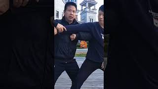 Tai Chi fighting skills are beyond your imaginationfighting taichi martialarts kungfuskills [upl. by Vladimar]