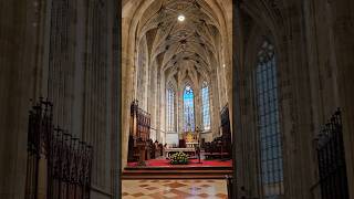 Beautiful St Martins Cathedral Bratislava Slovakia 🇸🇰 church religious [upl. by Eelahs761]