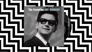 i drove all night  roy orbison slowed  reverb [upl. by Aidin975]