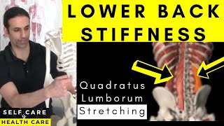 Side Low back PAIN amp TIGHTNESS Stretch Quadratus Lumborum [upl. by Benedict]