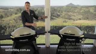 Which Weber® Q™ is right for you [upl. by Neerroc878]