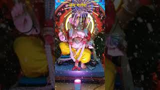 गणपती आरती ghalin lotangan ganpati shorts ganpati aarti गणेश जी की आरती sukh karta dukh harta [upl. by Yoshio877]