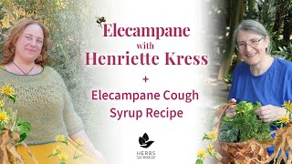 Elecampane with Henriette Kress  Elecampane Cough Syrup Recipe [upl. by Geanine923]