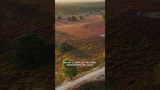 Ausflug auf den Brunsberg in der Lüneburger Heide [upl. by Aliuqahs]