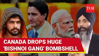 Canadas Shocking Claim On Lawrence Bishnoi Indian Govt Using Bishnois Gang  Watch [upl. by Jarvey]