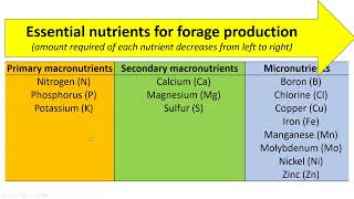 Essential nutrients for forage systems forage drops [upl. by Arnaldo]