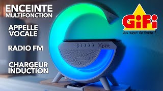 Enceinte multifonction bluetooth chez GIFI radio FM lecteur chargeur sans fil Homday Xpert lumisound [upl. by Marella]