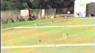 World Croquet Champs 1995 C Clarke vs S Williams Part 2 of 2 croquet [upl. by Calia]