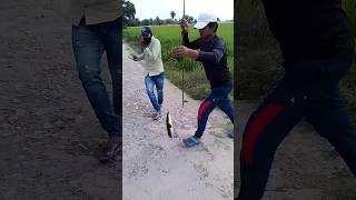 Amazing village hand fishing saur fish hand shortsvideo 🦈🐠🎣😱 [upl. by Mark]