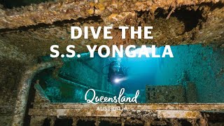 Why you should dive the SS Yongala [upl. by Leeth]