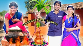 Celebrating Pongal🌾 like 1980s for 24Hours village pongal😍  Jennis Hacks [upl. by Kuth]