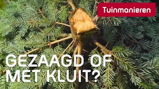 Kies je een gezaagde kerstboom of een boom met kluit  Kerst  Tuinmanieren [upl. by Adla]