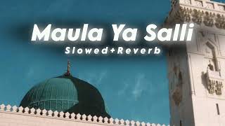 Maula Ya Salli Wa Sallim New Naat SlowedReverb youtubeshorts shorts trending islamicvideo [upl. by Baldwin800]