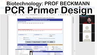 Designing PCR Primers [upl. by Yrebmik559]