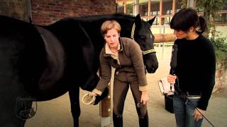 Loesdau Lessons Basics mit Kati Hufe eines Pferdes auskratzen [upl. by Kacey726]