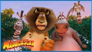 20 Reasons Why Madagascar Was So Successful  Release Date May 27 2005 [upl. by Airekal]