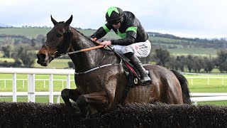 National contender Where it All Began looks good at Punchestown [upl. by Htiderem517]