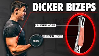 Es gibt keine quot5 BESTEN ÜBUNGEN die du machen musstquot  Bizeps Training  Anatomie für alle 2 [upl. by Laing709]