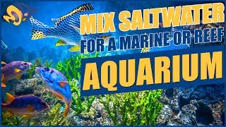 How To Mix Saltwater For Your Aquarium [upl. by Ahsinat632]