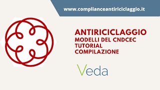 Antiriciclaggio tutorial compilazione dei modelli del CNDCEC [upl. by Ziul]