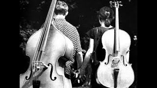 Love Story Theme  Double Bass Solo [upl. by Ravi]