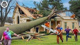 Dangerous Fastest Idiots Cutting Tree Fails Skill With Chainsaw  Tree Falling on Houses 7 [upl. by Fe]