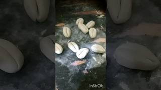 Diy cowrie shells😱How to make thisart viralshorts song cowrieshell [upl. by Yannodrahc5]