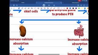 HYPOPARATHYROIDISM AND HYPERPARATHYROIDISM [upl. by Eugenius532]