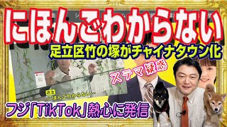 「にほんごわからない」。中国人が足立区竹の塚で10年倍増！チャイナタウン化とフジテレビ「イット」ステマ疑惑も地元で話題にならずステマ失敗ざまぁ｜みやわきチャンネル（仮）2218Restart2018 [upl. by Socher130]