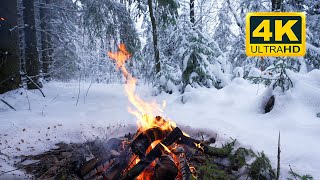 🔥 Cozy Campfire in the Winter Forest 12 HOURS Campfire Ambience with Crackling Fire Sounds [upl. by Henning336]