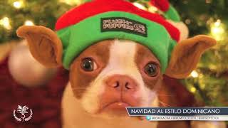 navidad al estilo dominicano • Trompo loco [upl. by Deny680]