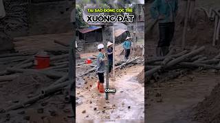 WHY VIETNAMESE PUT BAMBOO PILES INTO THE GROUND shorts [upl. by Eked]