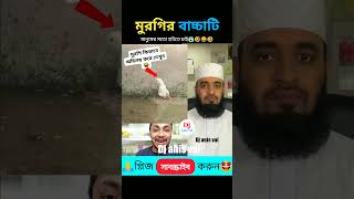 মুরগির বাচ্চাটির অভিনয় দেখুন। Mizanur Rahman Azhari shortvideo reels viralvideo [upl. by Sergeant]