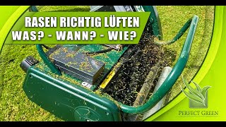 Rasen lüften  sanftes Vertikutieren  wichtige Rasenpflege [upl. by Chaiken736]