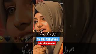 The most heart warming Urdu Poetry ever poetry urdupoetry urdupoetrystatus love urdu [upl. by Viridissa]