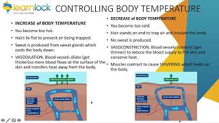 GCSE AQA Biology  B5 homeostasis and response  homeostasis in humans [upl. by Llebyram612]