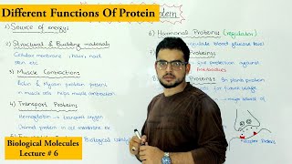 Functions of Protein [upl. by Adnorrehs]