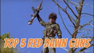 Top 5 SHTF guns for red dawn style foreign occupation SHTF shooting top5 recce [upl. by Zippel394]