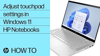 How to adjust touchpad settings in Windows 11  HP Notebooks  HP Support [upl. by Hcirdla]