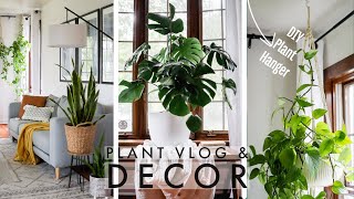 Summer Decorate With Me  Minimalist Plant Decor  Living Room Plant Styling  Plant Vlog [upl. by Gilly]