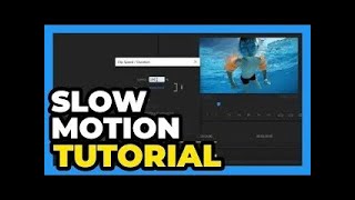 Premiere Pro 2024： Slow Motion Tutorial [upl. by Rothwell]