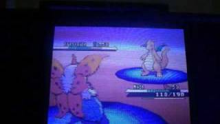 How to catch Dragonite in Pokemon BlackWhite [upl. by Akemehc241]