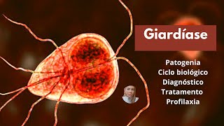 Giardíase patogenia ciclo biológico diagnóstico tratamento e profilaxia [upl. by Hallette299]