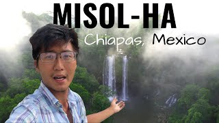 MISOLHA  THE BEST WATERFALL IN MEXICO SUNRISE over Waterfalls  Markets in Chiapas Mexico [upl. by Gniy]