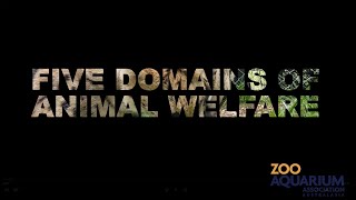 The Five Domains of Animal Welfare [upl. by Richart793]