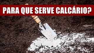 PARA QUE SERVE O CALCÁRIO NAS PLANTAS [upl. by Kneeland]