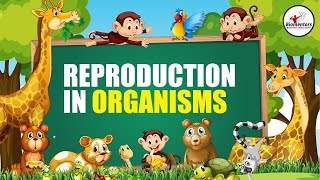 Reproduction in Organisms I Lecture 8 l Biology l NEET [upl. by Benedick]